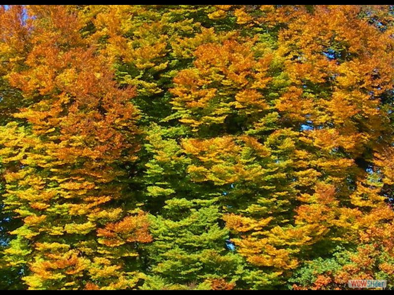 Annecy - lac 4b